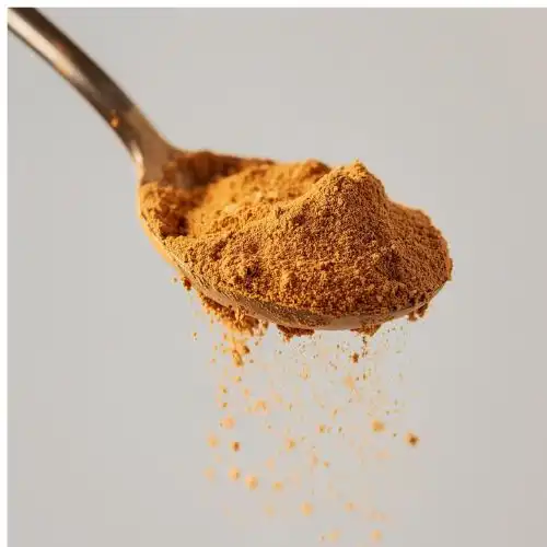 Chaga Mushroom Extract Powder Powerful Antioxidant for Immune Health